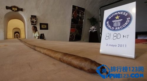 世界上最长的雪茄